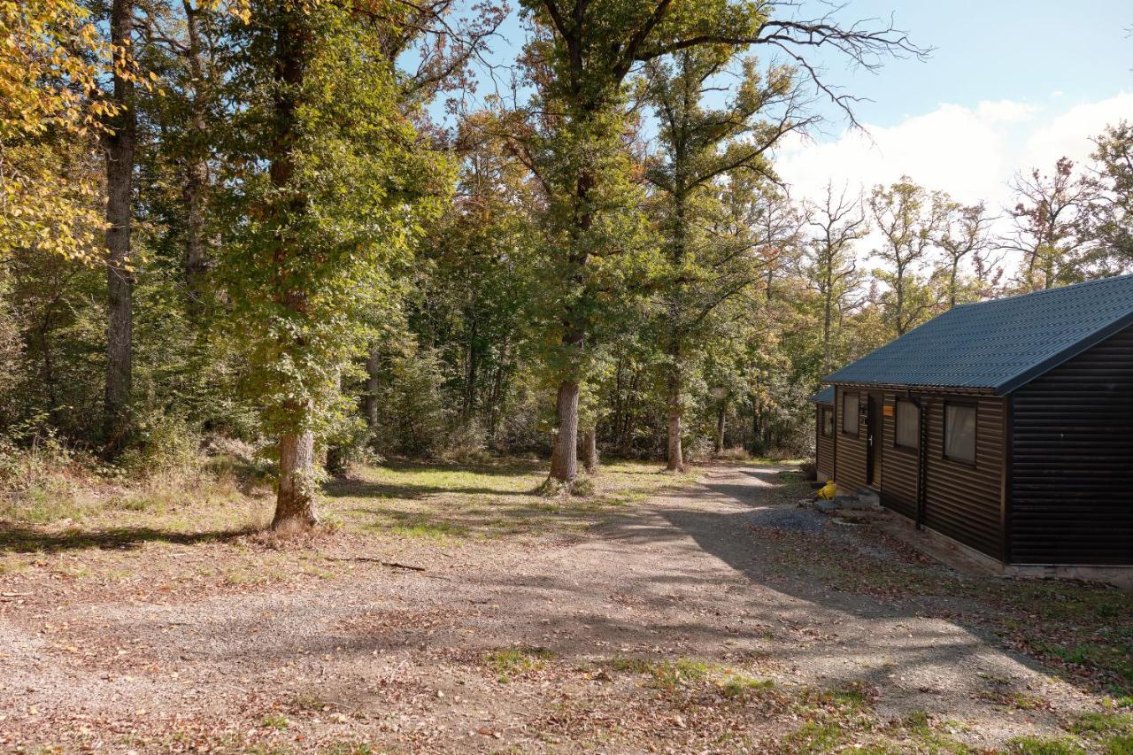 Chalet D'Un Ami Villa Somme-Leuze Exterior foto